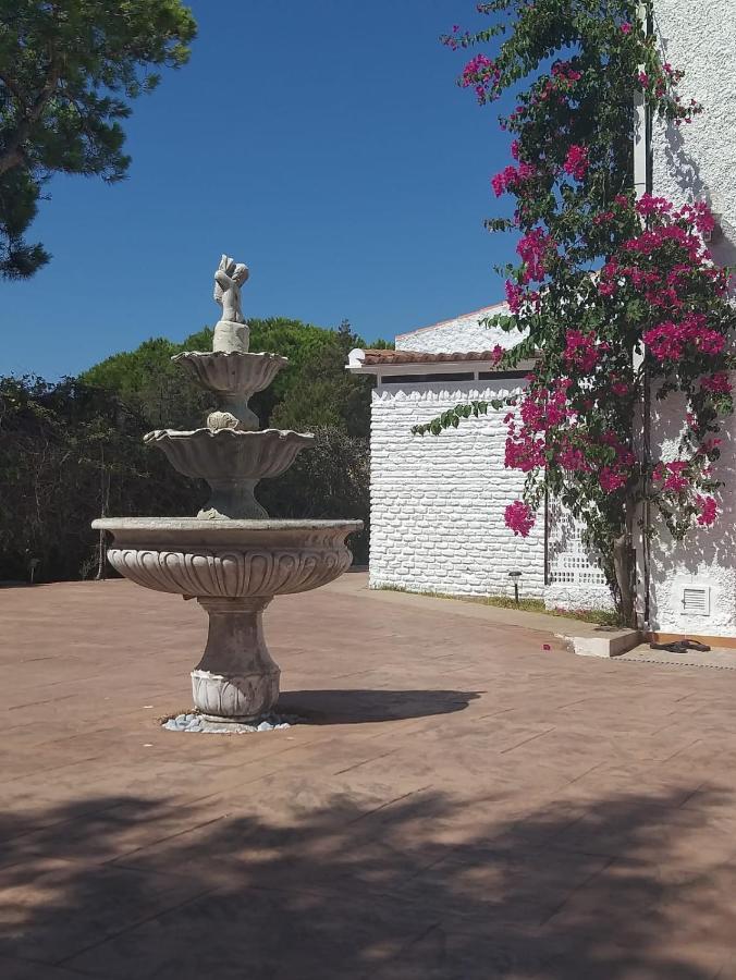 Apartamento Entre pinos y playa Matalascañas Exterior foto